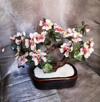 bonsai.jpg